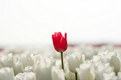 Outliers – How To Make It As One
