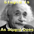 albert einstein stupidity