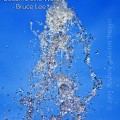 become like water bruce lee quote