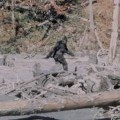 bigfoot