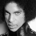 prince